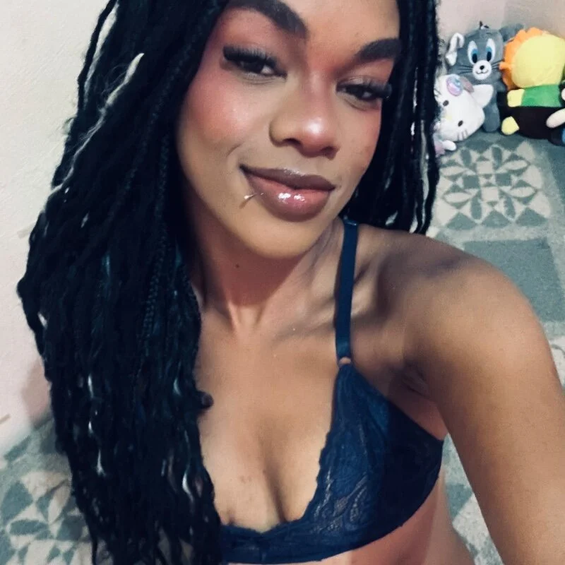 MIMICAMM