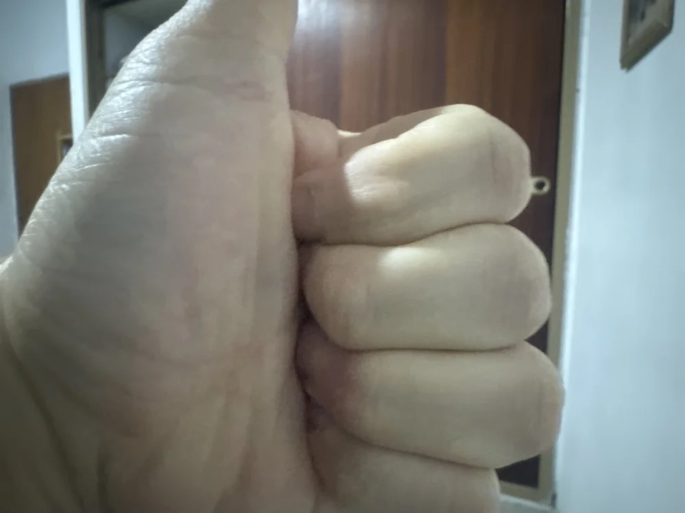 venteveo1