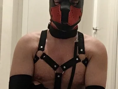 Maskpor2022