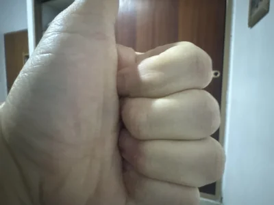 venteveo1