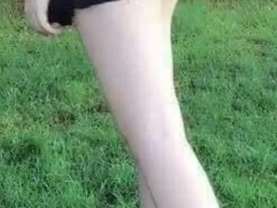 bigcock_jane